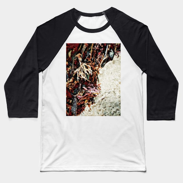 Seaweed studies 54 Baseball T-Shirt by goodieg